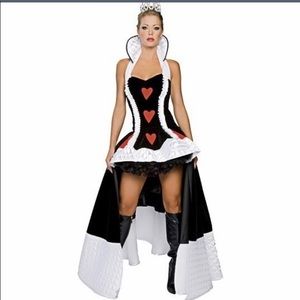 Alice in wonderland costume. Size  large